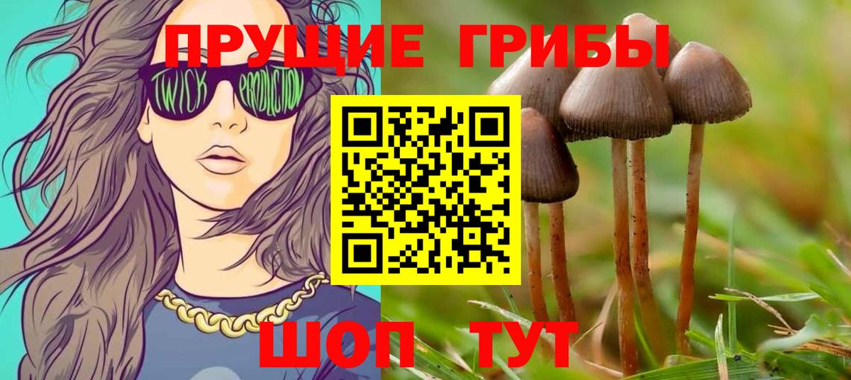 Псилоцибиновые грибы мицелий  Вход с VPN  Вязники 